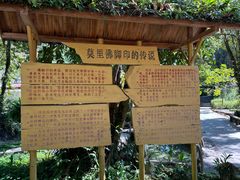 -莫里热带雨林景区