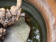 -南浔古镇