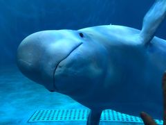 -多彩贵州城极地海洋世界