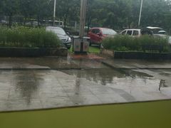 -龙记桂林米粉(财满街店)