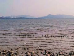 -深圳湾公园(南山区)
