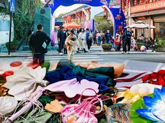 -运河游船(武林门码头)