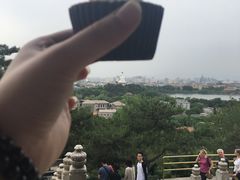 -3A07逆爱杯子蛋糕