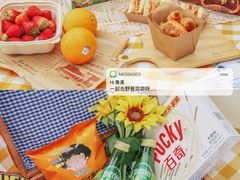 -永定河休闲森林公园