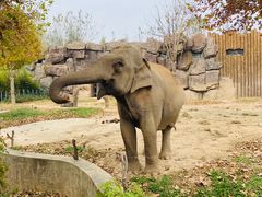 -济南野生动物世界