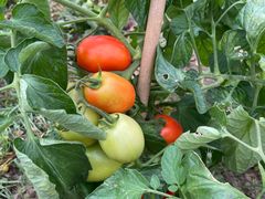 -美家乐农庄·露营·团建(大治路店)