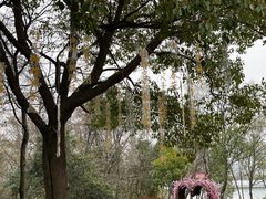 -南京汤山紫清湖生态旅游温泉度假区