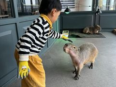 -FAIRYLAND龙族星球主题餐厅(凯丹广场店)