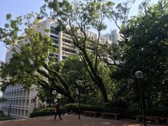 -香港大学