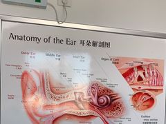 -自然之声助听器·呼吸机(翠微大厦店)