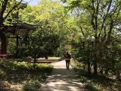 -句容茅山景区