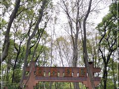 -灵谷景区