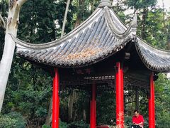 -深圳国际园林花卉博览园