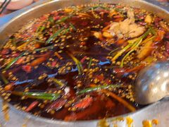 -乡土特色.冷锅鱼.牦牛肉汤锅