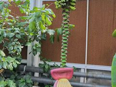 -北京植物园-展览温室