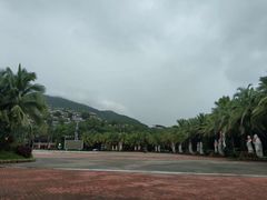 -呀诺达热带雨林