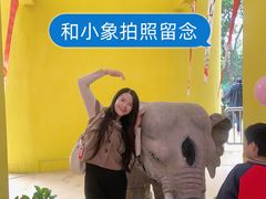 -昆明动物园