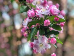 -天津东丽湖风景区