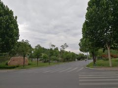-河南财经政法大学(郑东校区)