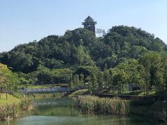-王借岗森林公园