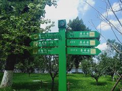 -长白岛森林公园