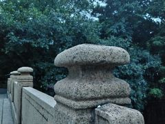 -晓港公园