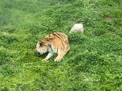 -西安秦岭野生动物园