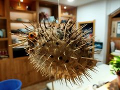 -天正河鲀·河豚亭(大连店)