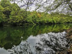 -花溪公园