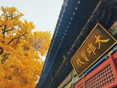 -红螺寺