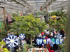 -南宫五洲植物乐园