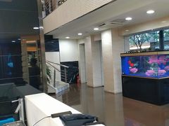 -宝岛眼镜(杭州万塘路旗舰店)