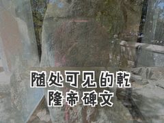 -大觉寺-停车场