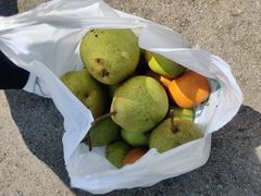 -江苏三台山国家森林公园