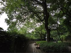 府山公园-府山公园