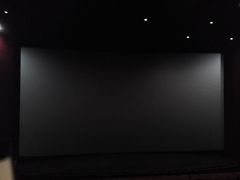 巨型银幕-万达影城(金牛万达广场激光IMAX店)