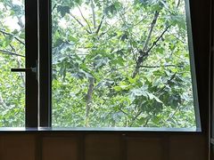 -LANN I 蘭 泰式古法按摩(徐家汇城开YOYO店)