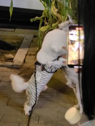 -煊私人定制美发会所