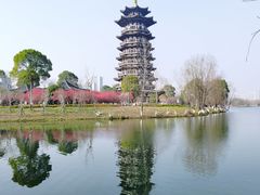 -洋湖国家湿地公园