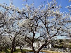 -名花谷生态庄园