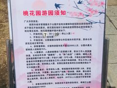 -桃花堤公园