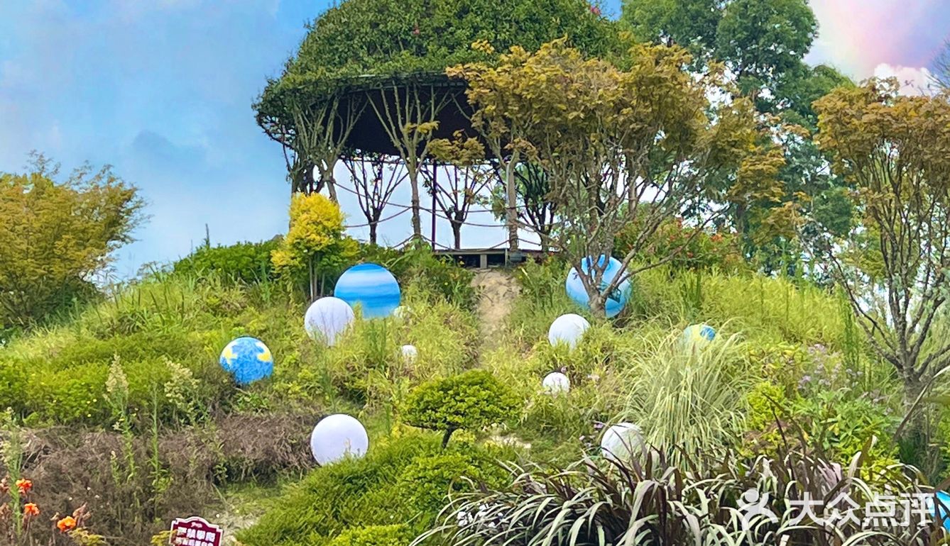 成都周边游‼️40000平现实版绿野仙踪🖼 .