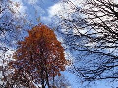 -叠溪松坪沟景区