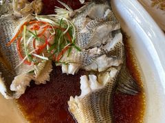 -华盛丰温州大排档(东三环南路店)