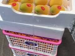 -西郊国际农产品交易中心