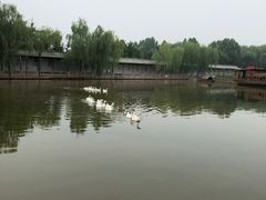 -河北村民俗体验园