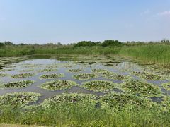 -处女泉风景名胜区