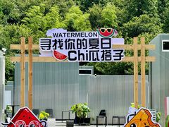 -玉苍山国家森林公园