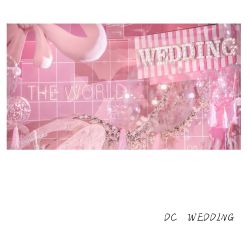 -DC大蔡婚礼策划(李公堤店)