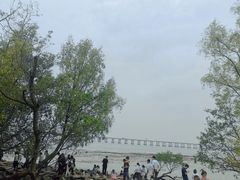 -宝安西湾红树林湿地公园